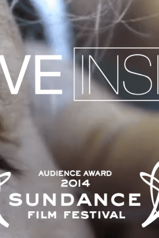Alive Inside: A Story of Music and Memory