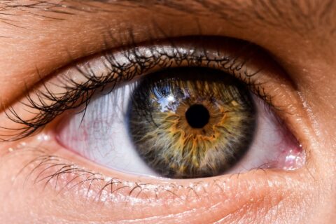 Un estudio muestra el daño ocular que causa la enfermedad de Alzheimer