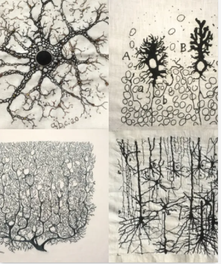 Cajal Embroidery Project